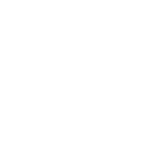 Competency icon