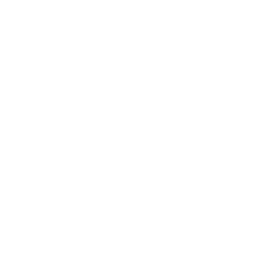 Competency icon