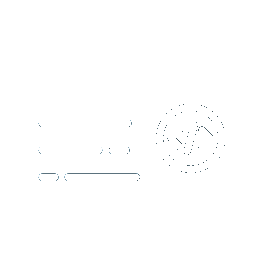 Competency icon