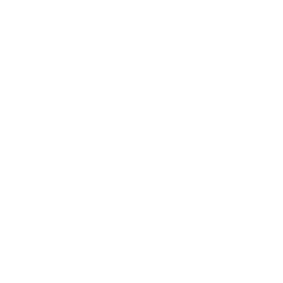 Competency icon