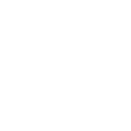 Competency icon