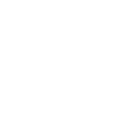 Competency icon