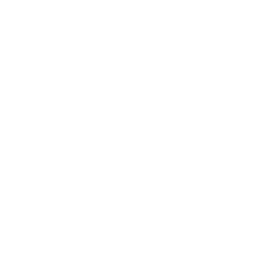 Competency icon