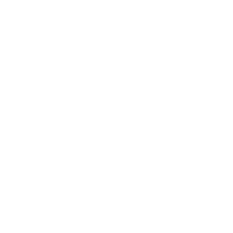 Competency icon